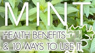 MINT  health benefits amp 10 ways to use it [upl. by Ecirtam]