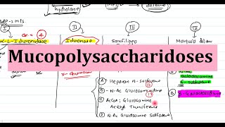 28 Mucopolysaccharidoses  Biochemistry Clinical Features Diagnosis and Treatment [upl. by Zeba425]