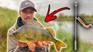 DROPSHOT Guide  Effective Rig in Perch Fishing [upl. by Aneert]