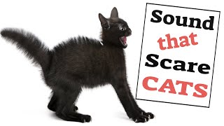 Sounds That Scare Cats [upl. by Mendelson]