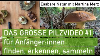 Großes Pilzvideo 1 für Anfängerinnen Essbare giftige und andere Pilze im September [upl. by Tull]