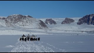 North Greenland Journey by Dog Sled with Inuit Hunters [upl. by Bivins152]