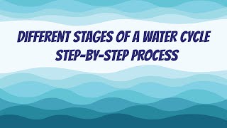 Different Stages of a Water Cycle  StepByStep Process [upl. by Hoebart]