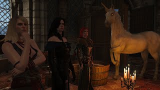 Triss Yennefer and Keira surprise Geralt  Witcher 3 [upl. by Meehaf893]