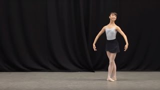 Insight Ballet Glossary  Petit allegro [upl. by Yancey207]