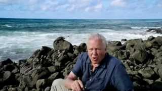 Galápagos with David Attenborough [upl. by Carol]