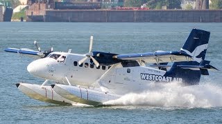 Twin Otter Seaplane Compilation [upl. by Serolod]