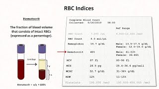 Complete blood count or CBC test normal range [upl. by Elvia98]