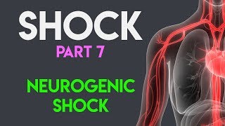 Neurogenic Shock  Shock Part 7 [upl. by Thorpe]