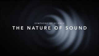 THE NATURE OF SOUND  SYMPHONY OF SCIENCE [upl. by Juliette]