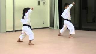 Heian Shodan [upl. by Howland]