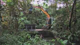 Verhuizing zeekoe naar Parijs  Burgers Zoo Natuurlijk  Arnhem [upl. by Ha]