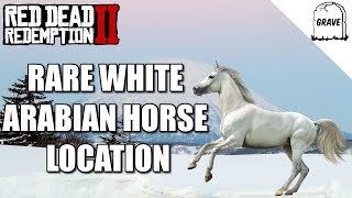 Rare White Arabian Horse Location Red Dead Redemption 2 [upl. by Hodgson851]