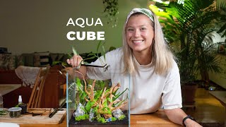 AQUA CUBE  Guide to making an Incredible Aquascape [upl. by Nymassej958]