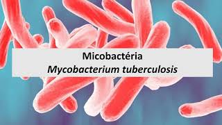 Mycobacterium under microscope afb positive [upl. by Tatianna]