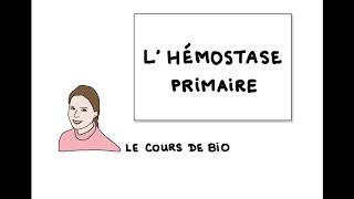 Hémostase primaire [upl. by Service631]