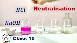 Neutralisation Reaction [upl. by Mossman]