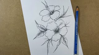 How to draw hibiscus flower step by step  Pencil [upl. by Nura879]