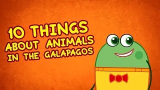 10 things about the Galapagos  Facts for Kids  Hogie the Globehopper  Geography Cartoons for Kids [upl. by Asim669]