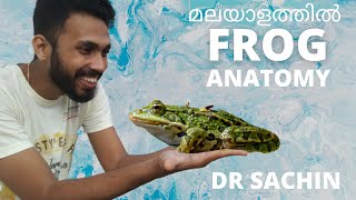 anatomy of frog  digestive system of frog  malayalam  knowledge vlogger  NCERT [upl. by Ellenrad]