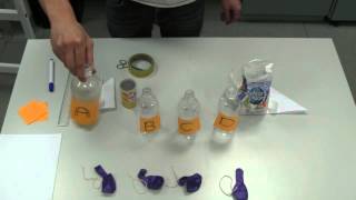 Yeast and Fermentation Experiment [upl. by Betz]