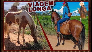 Levando égua para cruzar com Cavalo [upl. by Ydnys]