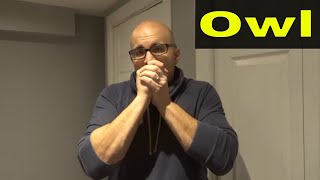 How To Whistle Like An OwlAnimal Sound Tutorial [upl. by Suzan819]