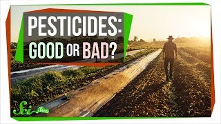 How Safe Are Pesticides Really [upl. by Hewet]