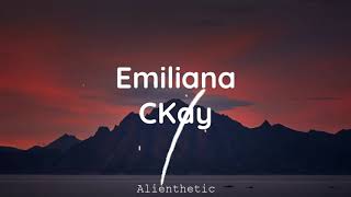 Ckay  Emilianalyrics [upl. by Ahseiuqal]