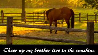 Farther Along  Brad Paisley  Lyrics [upl. by Aticnemrac]