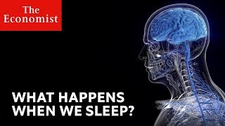 Why is sleep important  Wellbeing video [upl. by Angele]