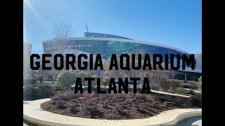 Georgia Aquarium  Atlanta Downtown  Full Informative Video  Worlds Largest Aquarium  USA [upl. by Nidla743]