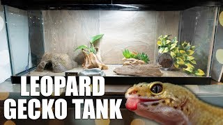 NEW LEOPARD GECKO SETUP 🦎 [upl. by Reteid]