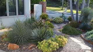 Design Ideas from an AwardWinning Succulent Garden [upl. by Ecarg560]