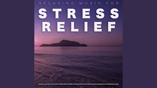 Music for Stress Relief [upl. by Tecu353]