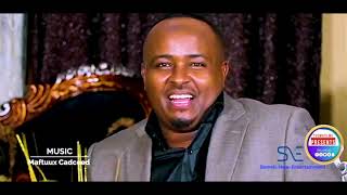 MAXAMED BK  DEEQA  New Somali Music Video 2020 Official Video [upl. by Mollee]