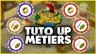 Comment monter son BijoutierCordonnierTailleur amp ses Mages niv100 sur 129  DOFUS RÉTRO [upl. by Perkin711]