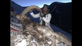 Kyrgyzstan Ibex Hunt [upl. by Clein331]