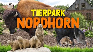 Tierpark Nordhorn  ZooEindruck [upl. by Refitsirhc596]