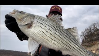 Getting Bit On Skiatook Lake [upl. by Nnaeus860]