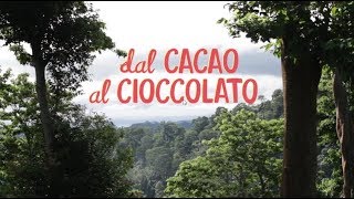 Dal cacao al cioccolato  The Fair Trade Cocoa Journey [upl. by Kuth603]