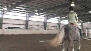 How to Gallop a Horse [upl. by Lucky]