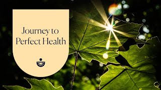 Deepak Chopra Journey to Perfect Health A Guided Meditation [upl. by Robbyn]