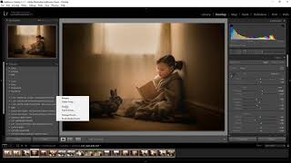 INSTALL PRESETS NEW LIGHTROOM CLASSIC [upl. by Ibib120]