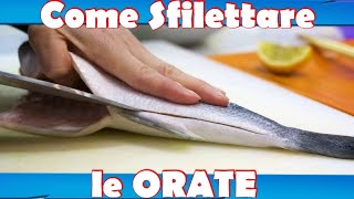 come SFILETTARE LE ORATE [upl. by Levina]