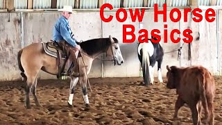 Reining amp Cow Work  How To Ruin Your Horse Before Lunch [upl. by Atina]