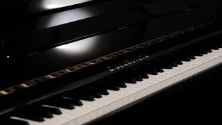 Discover the C Bechstein Elegance 124 [upl. by Cobbie]