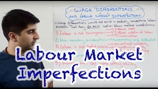 Wage Differentials and Labour Market Imperfections [upl. by Natloz183]