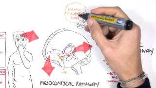 Brief Introduction to Psychosis [upl. by Hubble]