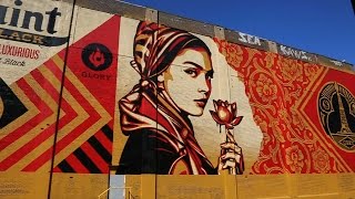 Shepard Fairey [upl. by Niatsirt]